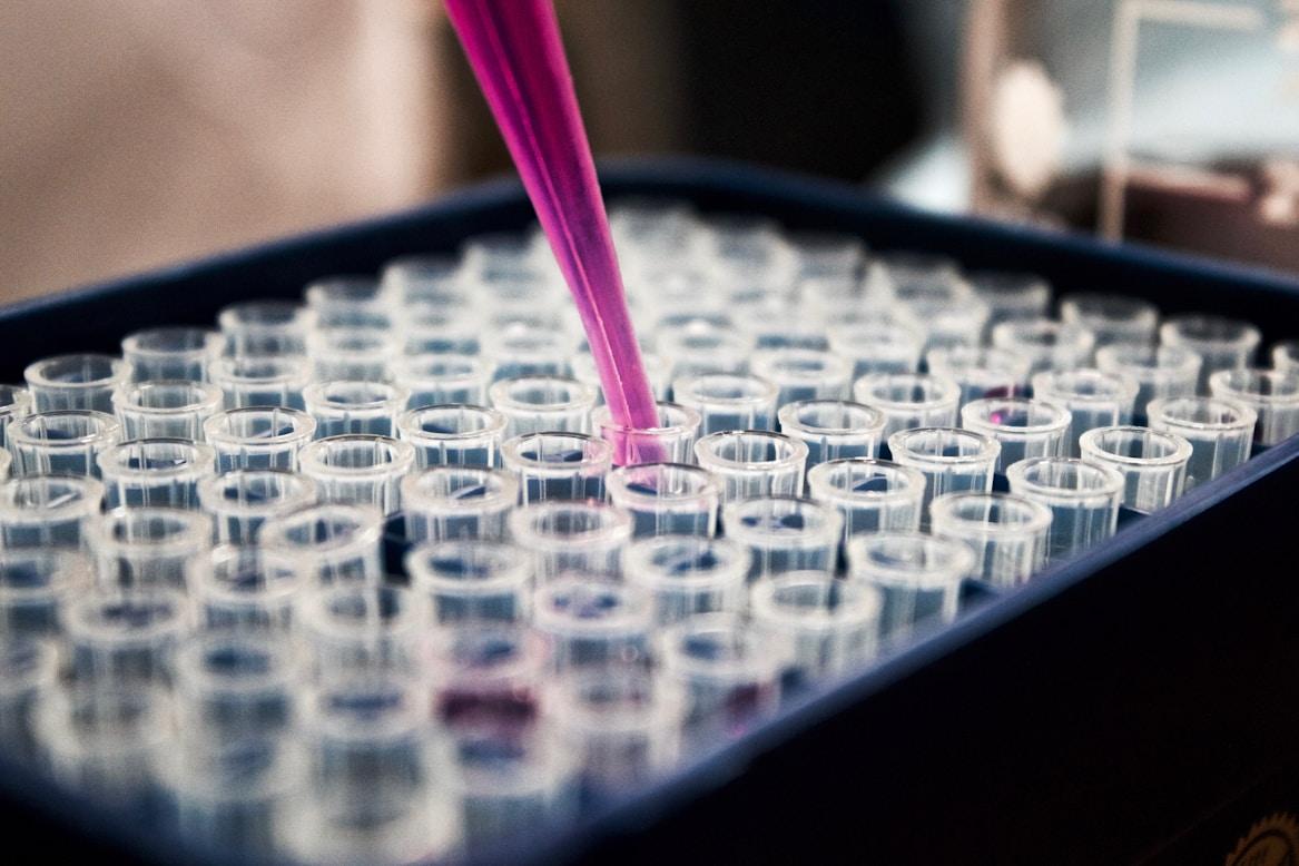Pipette dispensing sample into a 96-well plate